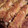 Barb's cooksnap of when they made Baked Bacon Wrapped Chicken.