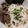 Cooksnap dari yolanikijuluw untuk resep Niku Udon ala Marugame