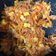 El cooksnap de Angela Bravo cuando hizo Guiso de calabacines con fideos.