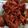 รูป Cooksnap ของ Ploy Meili เมื่อเขาทำ ไก่บอนชอน ซอสโคชูจัง cochujang