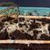 Cooksnap dari riska wulandari untuk resep Brownies kukus ala amanda