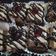 Cooksnap dari ratna agustin kartini untuk resep Bolu coklat mini