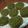 Cooksnap dari Fedyna Phie untuk resep Kue lumpang