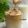 Cooksnap dari Brita Marta untuk resep Dalgona Coffee ☕️/ whipped coffee dengan 2 cara