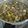 Cooksnap dari Tan Kitchen II untuk resep Bakso