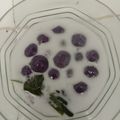 Cooksnap dari Wulan Arum untuk resep Candil ubi ungu manjaahhh