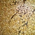 Cooksnap dari Keysha Eomma untuk resep Kacang Goreng Kriuk
