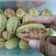 Cooksnap Nor Azlina semasa beliau membuat Kuih Cara Manis.