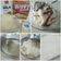 Cooksnap dari Lira Febri Maulidia untuk resep Homemade Eskrim Durian