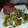 El cooksnap de Mario H. Davi cuando hizo Morrones rellenos.