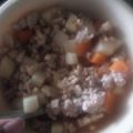 El cooksnap de Hinata Fuji cuando hizo Picadillo de carne molida casero.