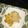 El cooksnap de Yasmin Santos cuando hizo Spaghetti con camarones y champiñones.