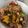 Cooksnap dari sien untuk resep Tumis cumi asin pedas