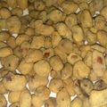 Cooksnap dari Elegk Rezegk untuk resep Kacang Telur
