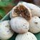 Cooksnap dari Eka indah winarsih untuk resep 40. Korean Mochi Bread