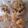 Cooksnap dari Nicholin Cute untuk resep Roti gandum sosis lembut