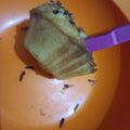 Cooksnap dari Widda Mamanya Unaisha untuk resep Muffin Tape Keju
