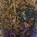 Cooksnap dari Theofany Melyana Indriawati untuk resep Teri Kacang Balado Pedas Manis