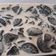 Cooksnap dari Usie untuk resep Puding Oreo