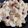 Umme Ahmad's cooksnap of when they made Russian Salad.