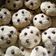 El cooksnap de XxmystiskxX cuando hizo Cookies de chips de chocolate (tipo las Levain Cookies de New York).