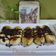 Cooksnap dari Dapoer-94 untuk resep Banana baked chocolate cheese