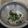 Cooksnap dari Srilaksita untuk resep Sayur BorYam (bobor bayam)