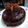 Rakhi Gupta का कुकस्नैप जब उन्होंने चॉकलेट केक (Chocolate cake recipe in hindi) बनाया था।