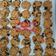 Cooksnap dari San's Kitchen untuk resep Camilan sehat Oatmeal Diet Lacta Cookies ala JTT