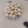 El cooksnap de Mac Gladys cuando hizo Alfajores de maicena CON ACEITE.
