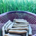 Cooksnap dari Melya Astika untuk resep Pempek ikan palembang||lembut dan enak