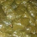 صورة من زهرة النرجس ، شاركها بعد تجربة وصفة ورق عنب بالشبت والزبادي