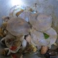 Cooksnap dari Kumala Dewi untuk resep Kerang dara saus tiram