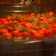 El cooksnap de Elena cuando hizo Tomates cherry confitados.