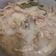 Cooksnap dari Int Love untuk resep Ayam Ungkep Bumbu Putih