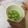 Cooksnap dari kucingkepanasan untuk resep Es melon segar