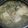 El cooksnap de SOL HUERTA cuando hizo Sopa Wantán !.