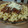 El cooksnap de Andrea Spuches cuando hizo Macarrones con salsa de tomate casera con hongos secos y pimiento asado.