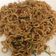 Cooksnap dari Purbandini untuk resep Indomie Kangkung Balacan