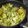 El cooksnap de Mery cuando hizo Tortilla de lechuga con cebolleta tierna.