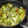 El cooksnap de Mery cuando hizo Tortilla de lechuga con cebolleta tierna.