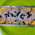 Cooksnap dari Lolly Regina untuk resep Puding Roti Breadtalk KW Praktis