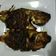 Cooksnap dari Ms. Blasius untuk resep Ikan Bakar Bumbu Jimbaran
