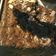Cooksnap dari Melly Rishelia untuk resep Chewy brownies