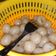 Cooksnap dari Fitri Ani untuk resep 310. Cilok empuk walau sudah dingin