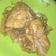 Cooksnap dari Balqis Qurrota Qolby untuk resep Pangsit goreng viral ala le gino