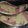 El cooksnap de Analia Mateo cuando hizo Zucchini Rellenos.