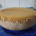 El cooksnap de Amalia Zavala cuando hizo Torta de cumpleaños para Cookpad 7 años.