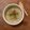 Cooksnap de Au Rèl sur la recette Verrine de fenouil et noisette