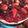 El cooksnap de Fernanda C cuando hizo Cheesecake de frutos rojos en vasitos.